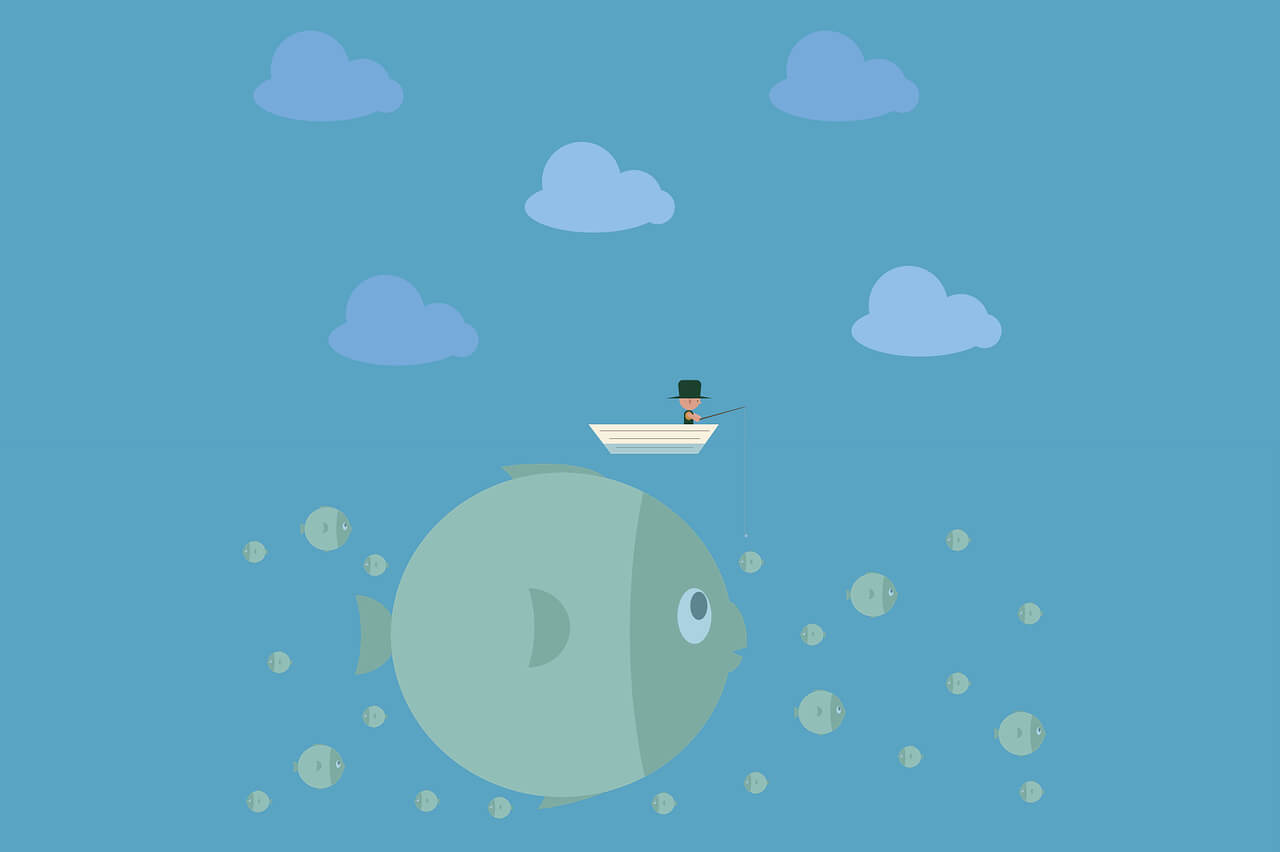 Mi动漫官方官网入口地址2025